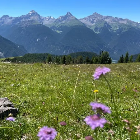 Sonnige Panorama Aussicht Bei Davos Lenzerheide * Schmitten (Grisons)